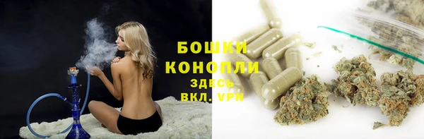 эйфоретик Арсеньев