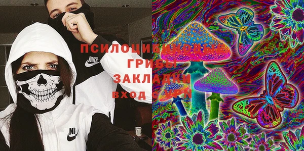 эйфоретик Арсеньев