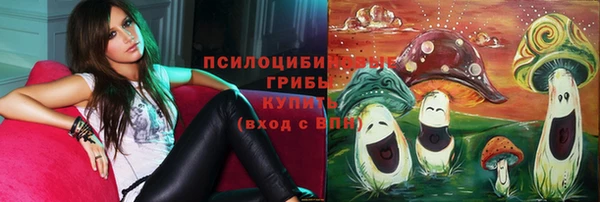 эйфоретик Арсеньев