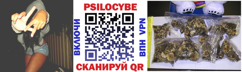 купить  сайты  Чадан  ссылка на мегу ссылки  Псилоцибиновые грибы Magic Shrooms 